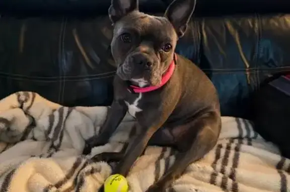 Lost Frenchton: Indy on East Main St.