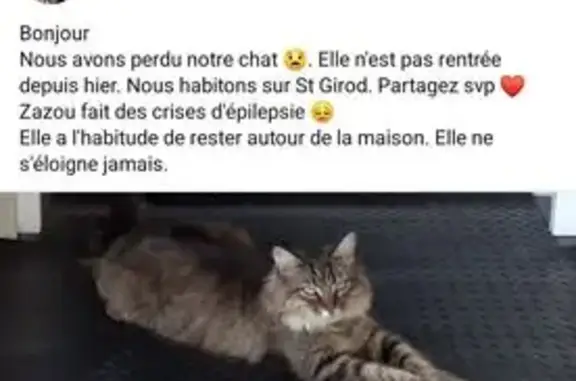 Minette épileptique perdue à Entrelacs - photo