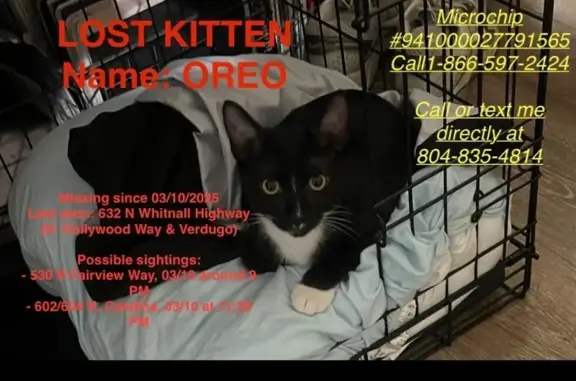 Lost Black & White Cat in Burbank Area