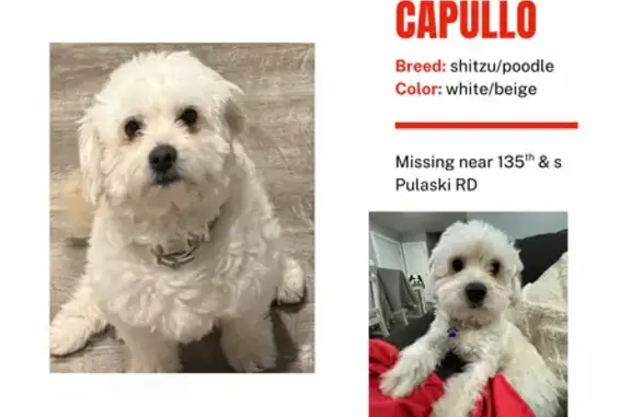Lost Dog Alert: Robbins, 13401 Area