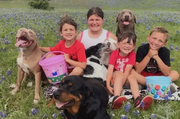 Lost Silver Lab in McGregor, TX: Help!