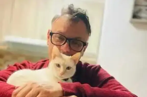 ¡Ayuda a encontrar a Mishifú en Empuriabrava!