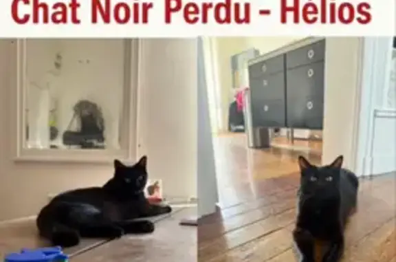 Animaux perdus Talence, photo: Chat noir perdu, tatouage 