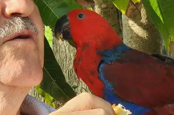 Lost Shy Bird in Cumberland Ci...