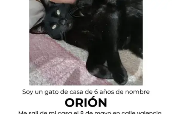 ¡Ayuda a encontrar a Orión, ga...