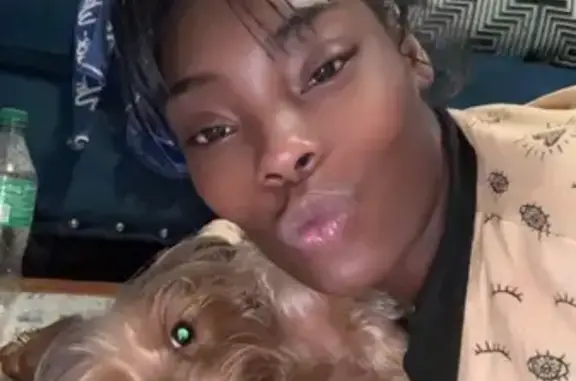 Lost Blond Yorkie: Purple Tail & Feet