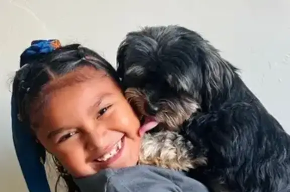 Lost Friendly Dog: Jackson in Midvale