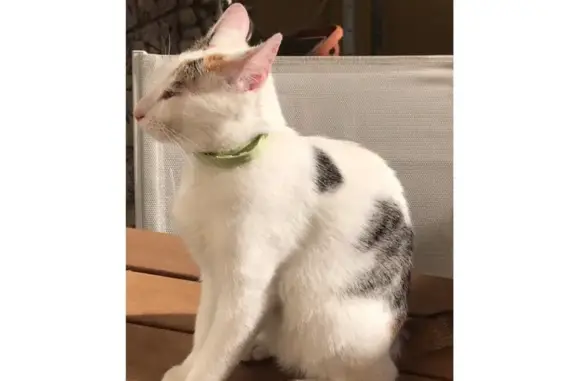 ¡Ayuda a encontrar a Amira en Las Gabias!