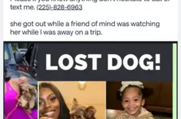 Lost Dog: Black & Brown, Answers to Kenzley