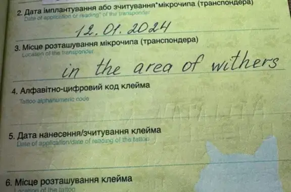Зникла собака Франк на Заболотного, 37