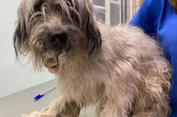 Devuelvan a Tierra a Su Hogar en Valladolid