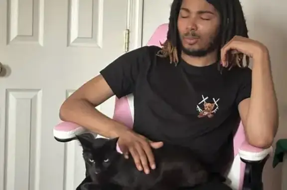 Lost Black Cat with Unique Col...