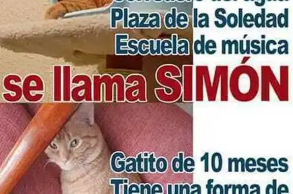 ¡Ayuda a encontrar a Simón, ga...