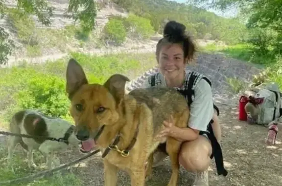 Lost pets , photo: Lost Dog Alert: FM 901 Area