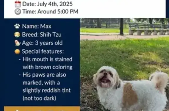 Lost Dog: White & Brown Spots in NY