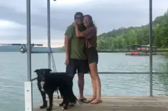 Lost: Fluffy Black Dog with White Markings