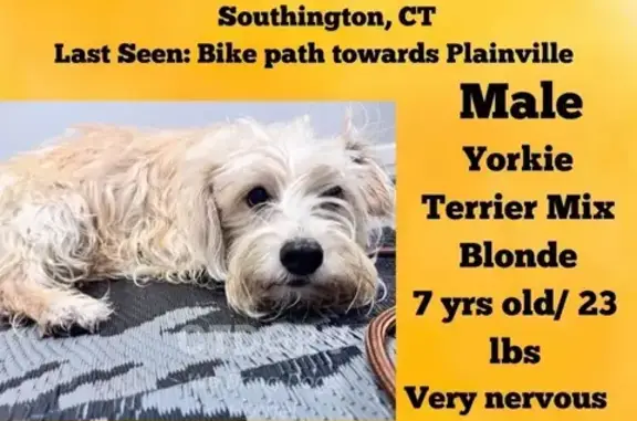 Lost and found pets , photo: Lost Yorkie Mix: 23 lbs, Call with Sightings