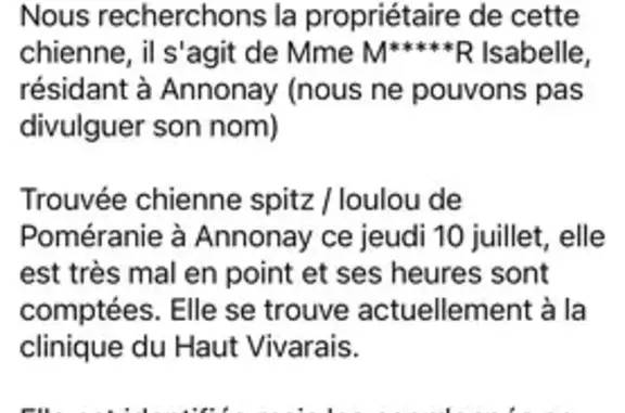 Chien trouvé à Davézieux par la SPA - photo