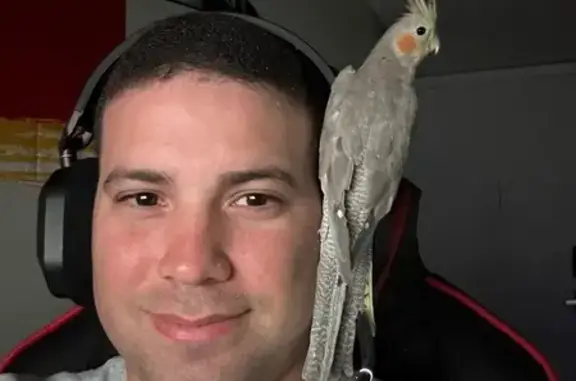 Lost Gray Bird: Vocal & Shy in...