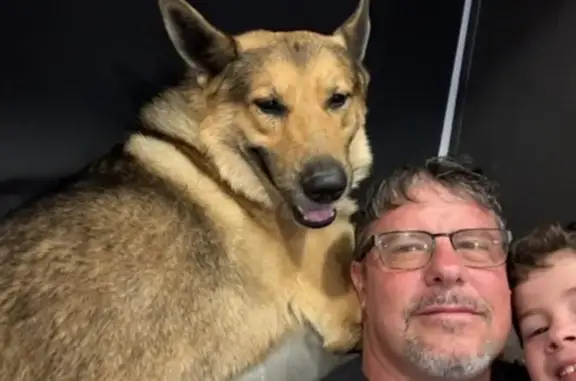 Lost Dog: Tan & Black in Mooresville, NC