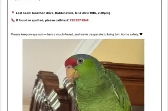 Lost Green Parrot: Talks & Whistles!