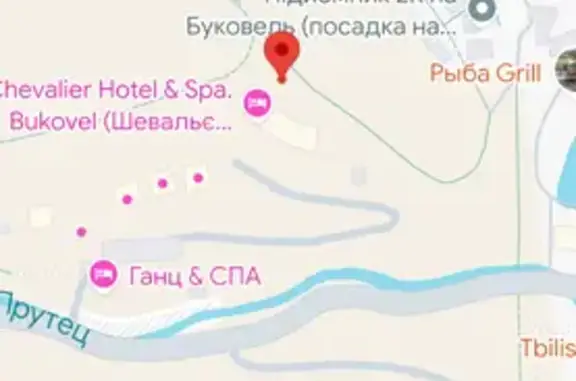 Зникла кішка Джері біля підйом...