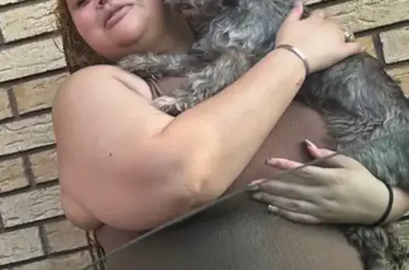 Lost Dog: Black & Grey in New Orleans