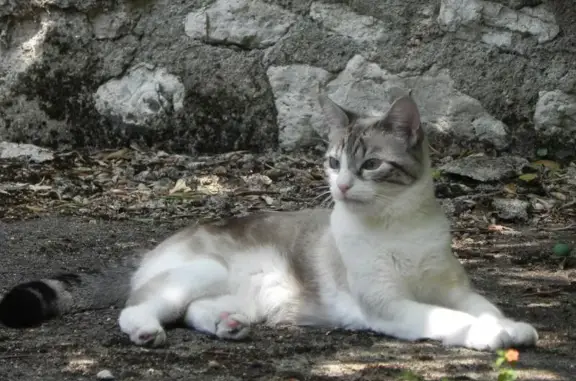 Jeune minette perdue à Orléans - photo