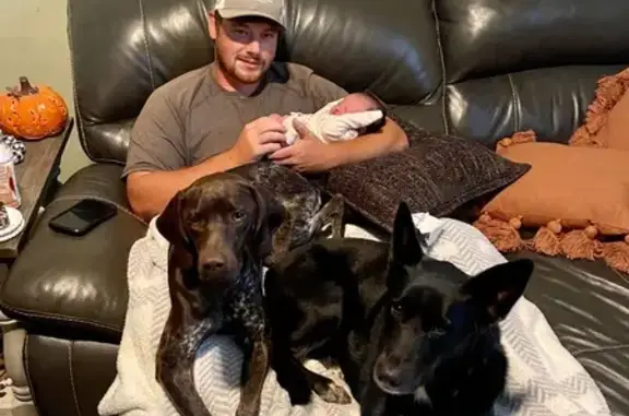 Missing Dogs: Allie & Willow in TN