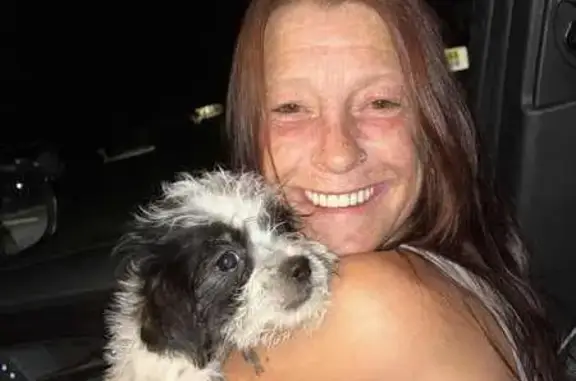 Lost Dog: Black & White, Curly Coat