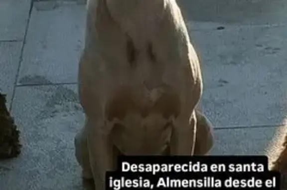 Perro Perdido en Almensilla: C...