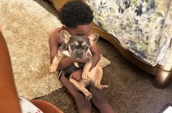 Help Find Our Stolen Dog - Harrah, OK