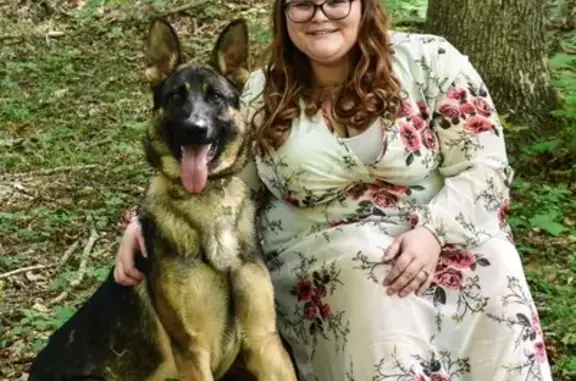 Lost Dog Alert: Help Find Whiskey!