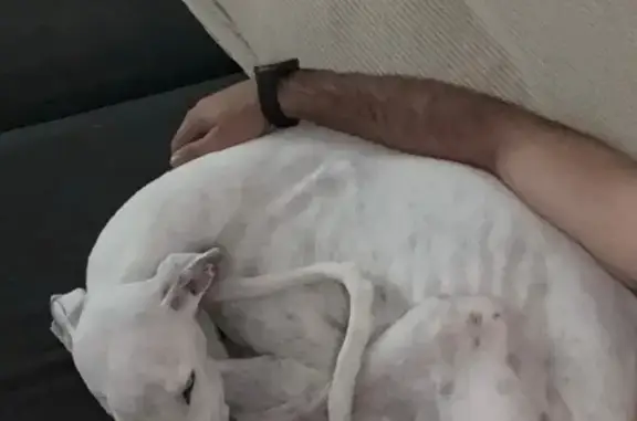 ¡Ayuda a encontrar a Noah en Jerez!