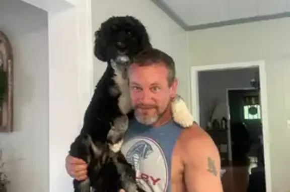 Lost Dog Grizzly: Curly Black Hair, Skittish