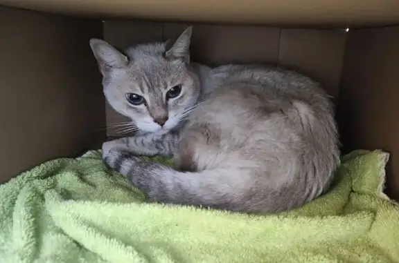 Se encuentra en un jardín, lleva un par de dias por aqui