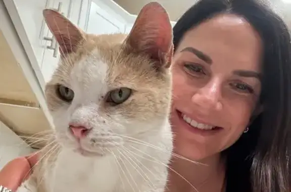 Lost: Friendly Orange & White Cat Wally