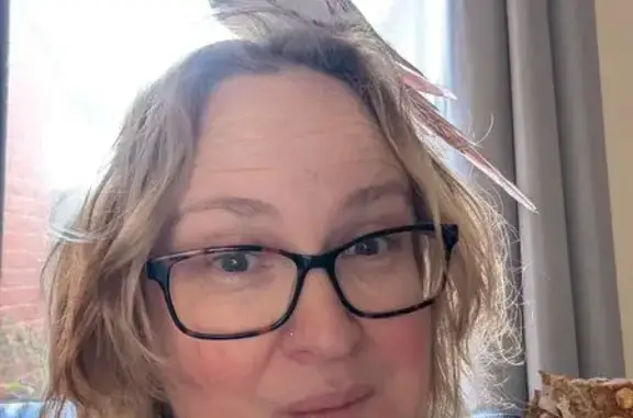 Lost pets , photo: Lost: Tame White Bird with Pink Tail