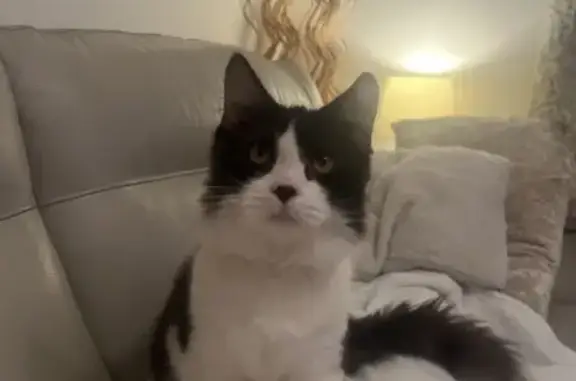 Found: Loving Black & White Ca...