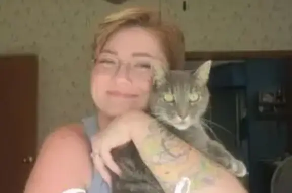 Lost Gray Tabby Cat Near Hwy 33 South