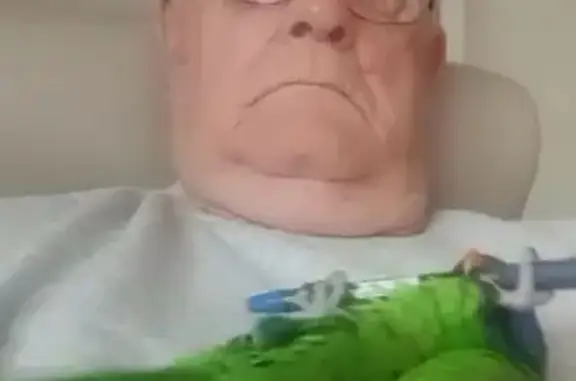 Friendly Green Bird Lost in An...