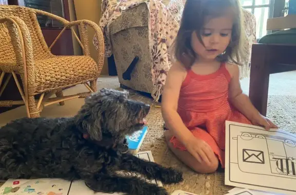 Lost Senior Dog on Acacia Rd: Help Find!