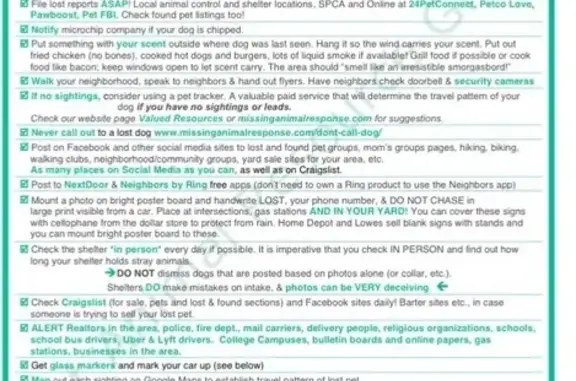 Lost Dog 'Chewy' in Baltimore Area