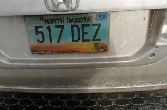 Lost Orange & White Cat on Maple St.