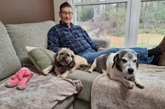 Lost Gray Shih Tzu on Division Ave - photo