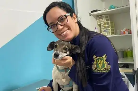 Cachorro perdido Fêmea (brl002029) - photo