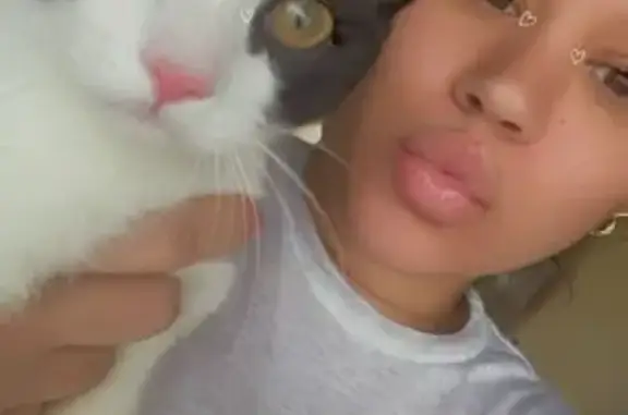 Lost Cat Alert: Dixon St, Warner Robins