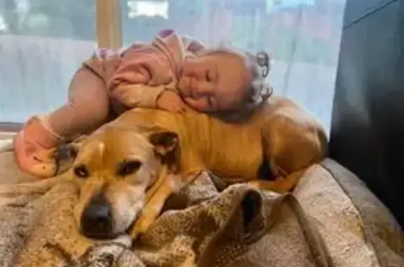 Lost: 16-Year-Old Tan Am Staff Cross