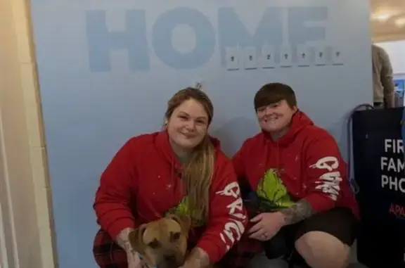 Lost Dog: Shy Tan Pup on Goulding St.