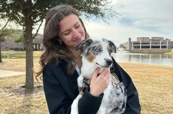 Lost Dog: Blue-Eyed Beauty on the Run